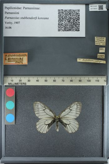 Media type: image;   Entomology 179973